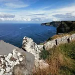 Puffin