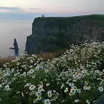 Puffin 3*