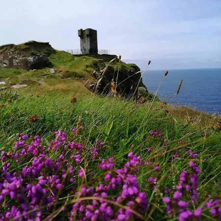 Bed & Breakfast Puffin Rooms B&B Lisdoonvarna