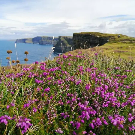 Bed & Breakfast Puffin Rooms
