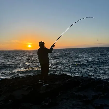 Puffin Nocleg ze śniadaniem Lisdoonvarna
