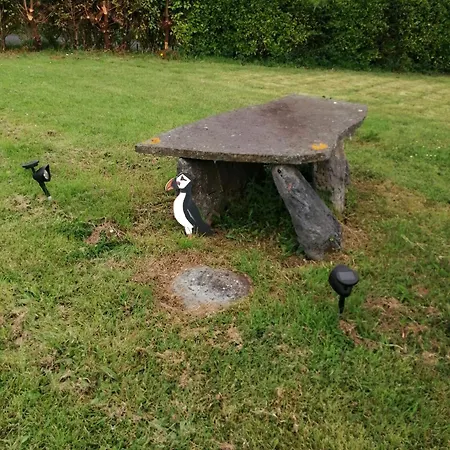 Puffin