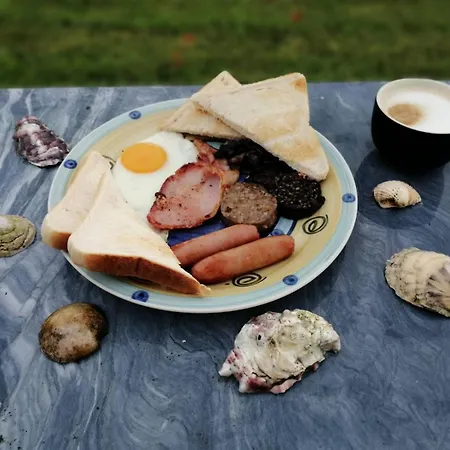 Puffin Nocleg ze śniadaniem Lisdoonvarna