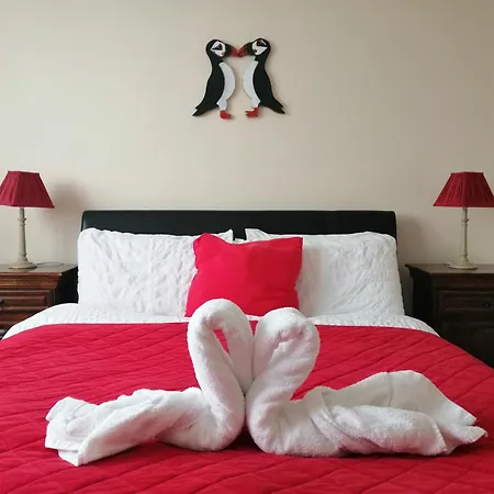 Puffin 3*