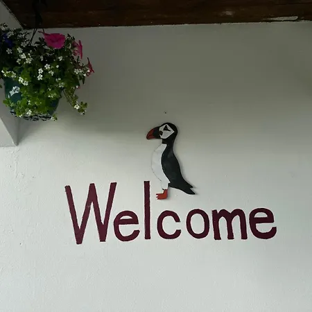 Puffin Nocleg ze śniadaniem Lisdoonvarna