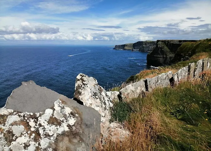 Puffin