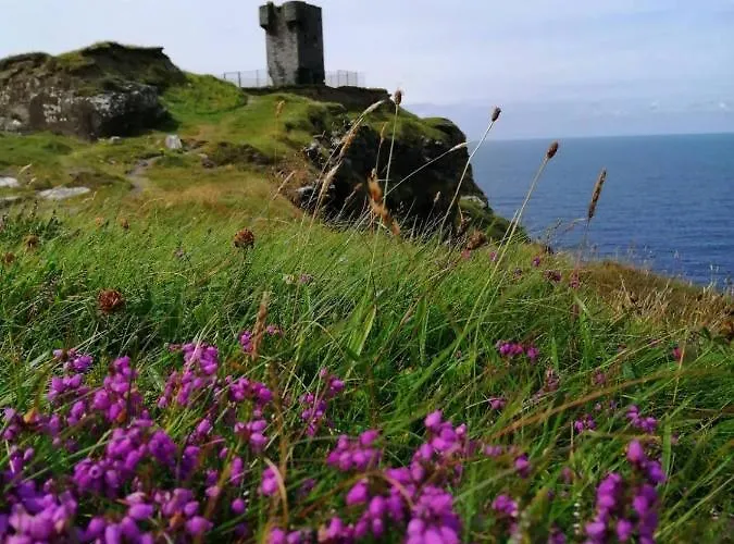 Bed and breakfast Puffin Lisdoonvarna