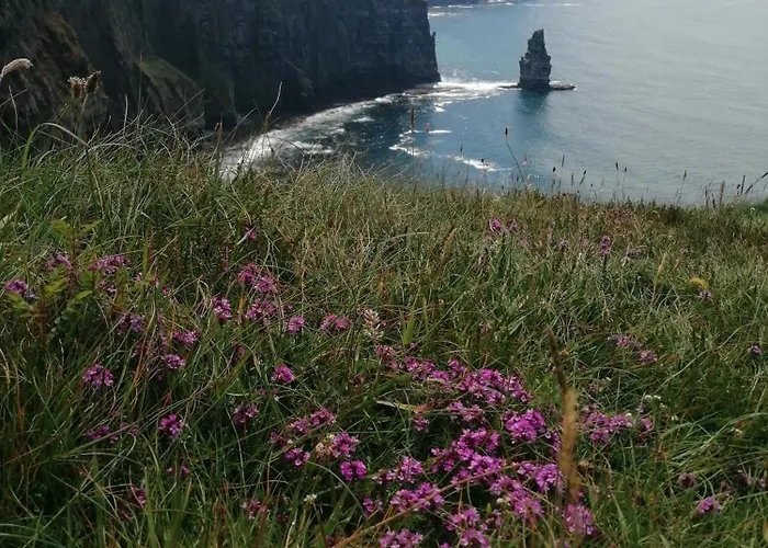Bed and breakfast Puffin