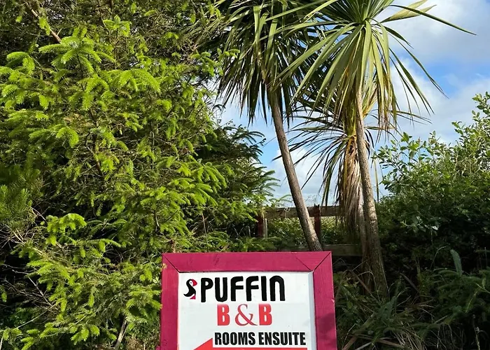 Bed and breakfast Puffin 3*